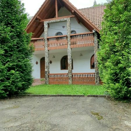 Vila Luca'S Cîrţişoara Buitenkant foto