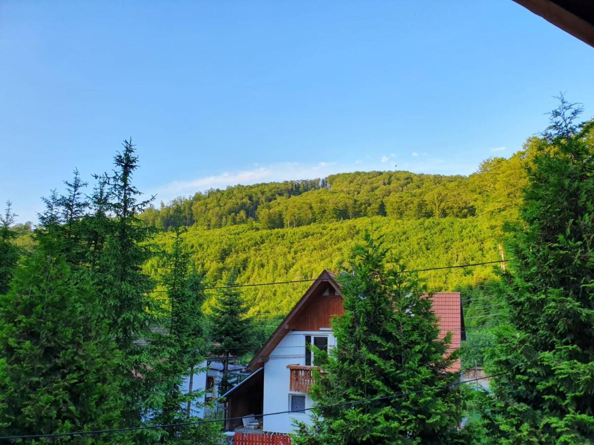Vila Luca'S Cîrţişoara Buitenkant foto