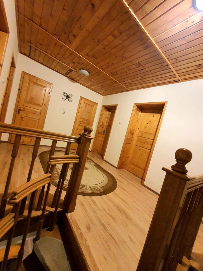 Vila Luca'S Cîrţişoara Buitenkant foto