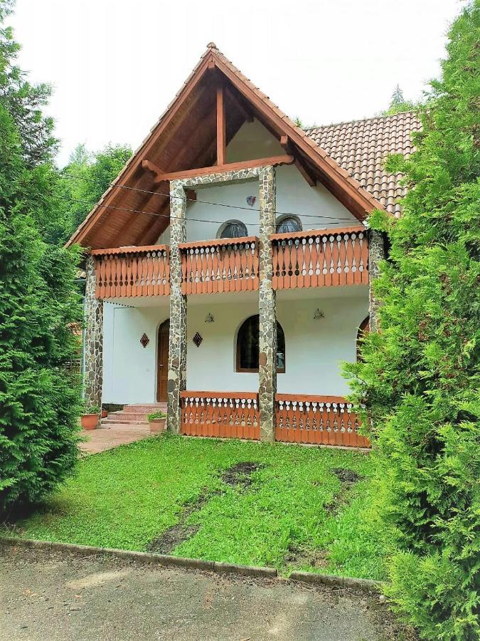 Vila Luca'S Cîrţişoara Buitenkant foto