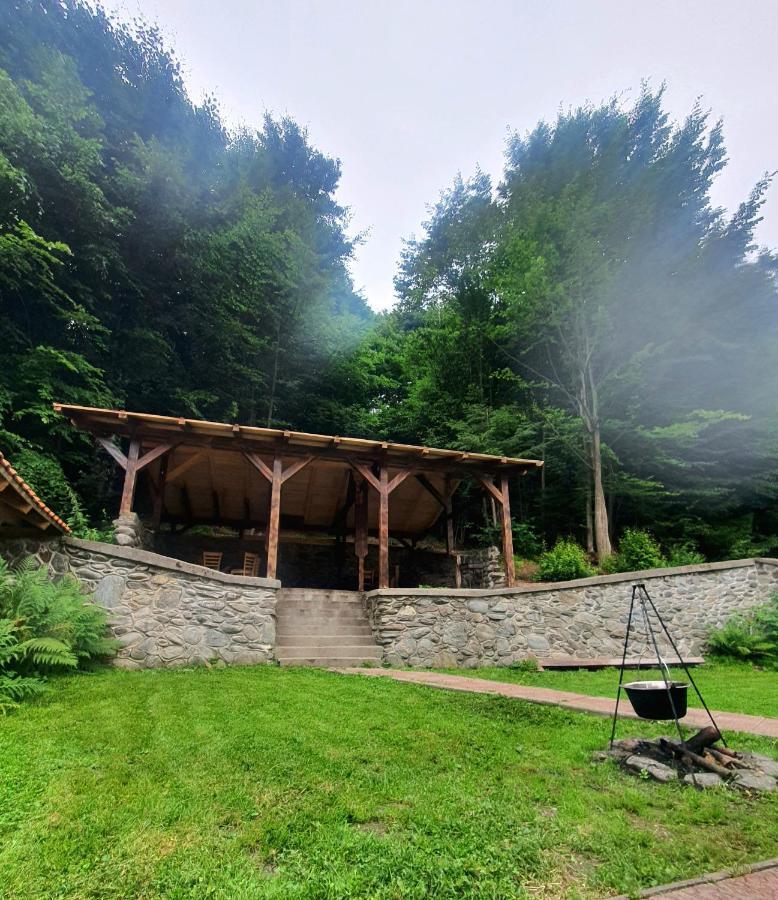 Vila Luca'S Cîrţişoara Buitenkant foto