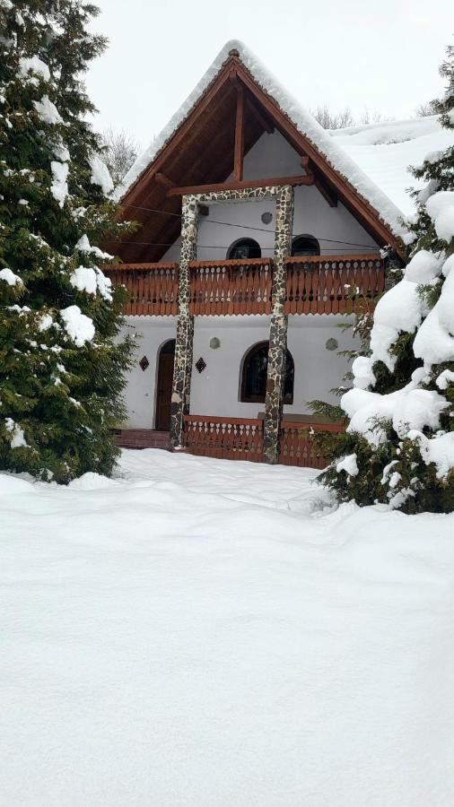 Vila Luca'S Cîrţişoara Buitenkant foto