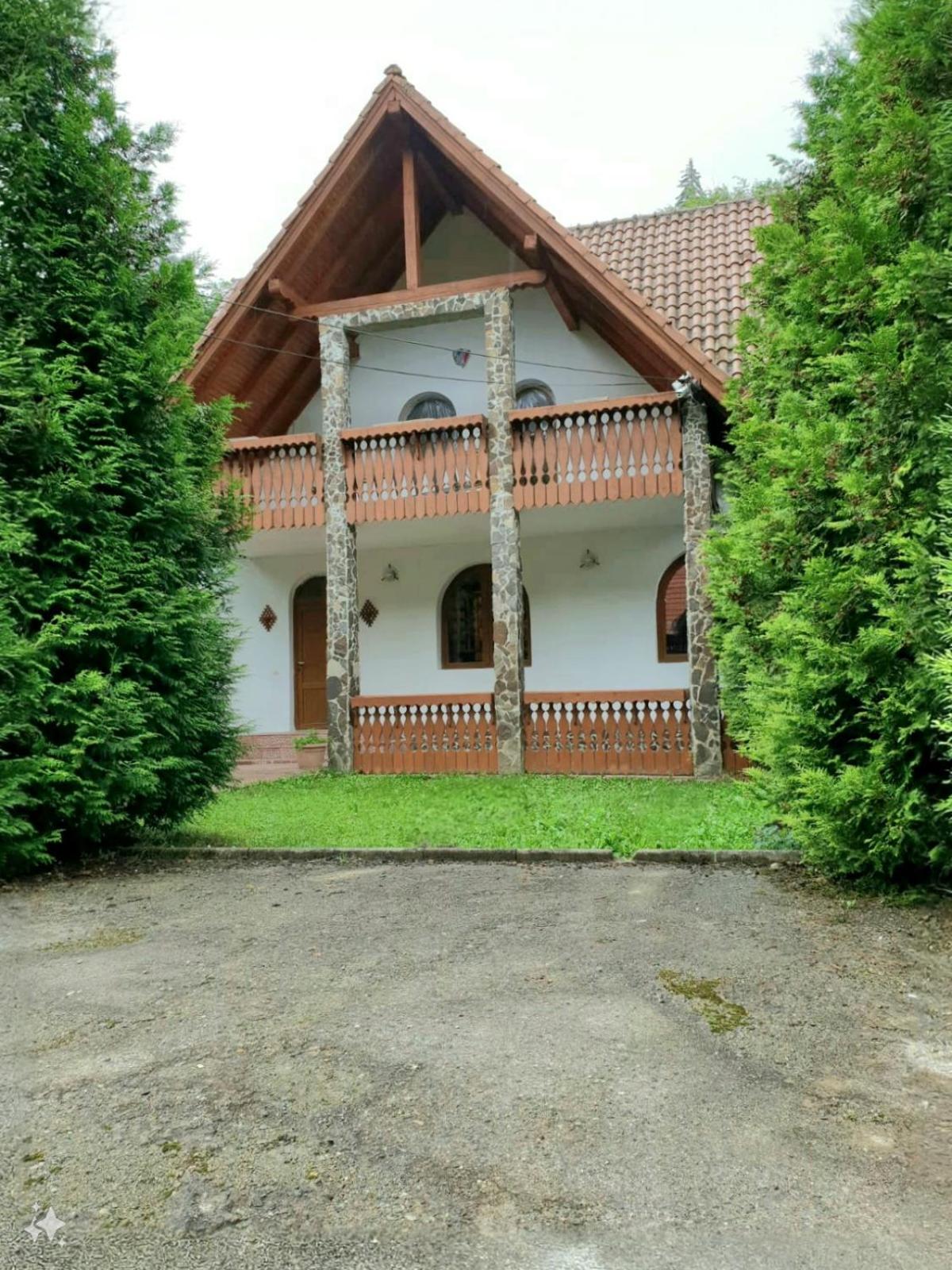 Vila Luca'S Cîrţişoara Buitenkant foto